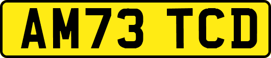 AM73TCD