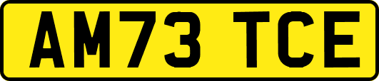 AM73TCE