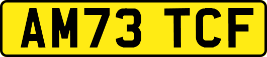 AM73TCF