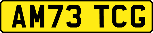 AM73TCG