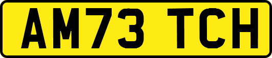 AM73TCH