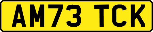 AM73TCK