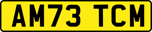 AM73TCM
