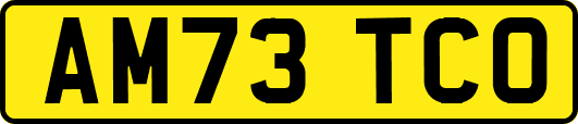 AM73TCO