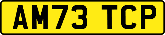 AM73TCP