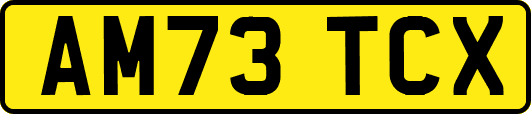 AM73TCX