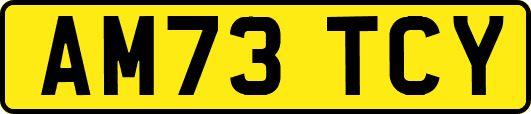 AM73TCY