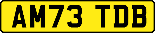 AM73TDB