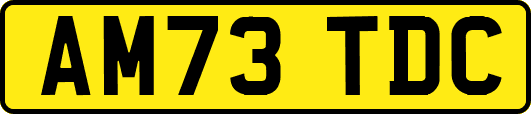 AM73TDC