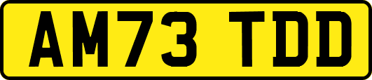AM73TDD