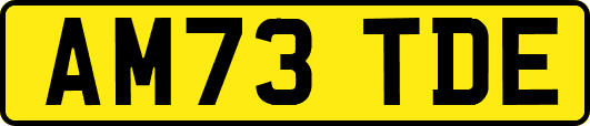 AM73TDE