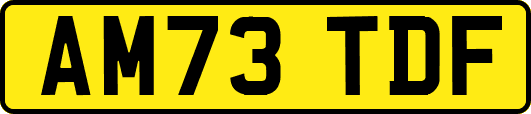 AM73TDF