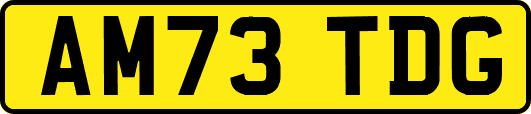 AM73TDG