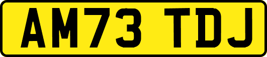 AM73TDJ