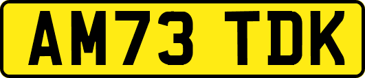 AM73TDK