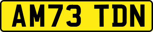 AM73TDN