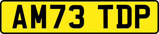 AM73TDP