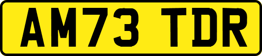 AM73TDR