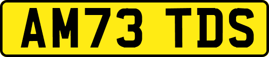 AM73TDS