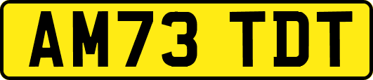 AM73TDT