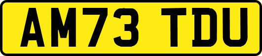 AM73TDU