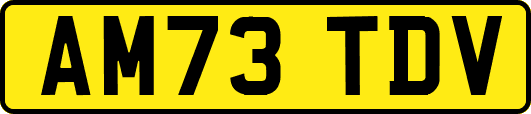 AM73TDV