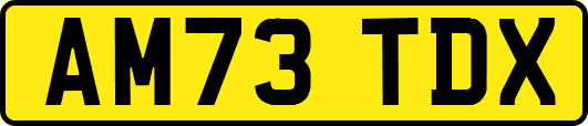 AM73TDX
