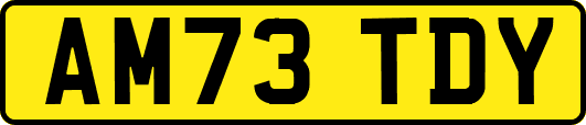 AM73TDY