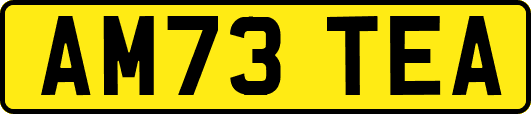 AM73TEA