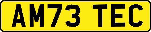 AM73TEC