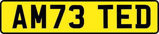 AM73TED