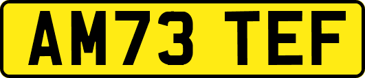 AM73TEF