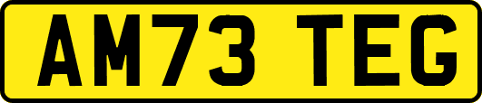 AM73TEG