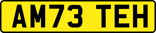 AM73TEH