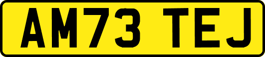 AM73TEJ
