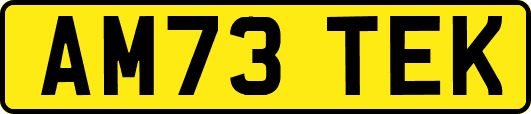 AM73TEK