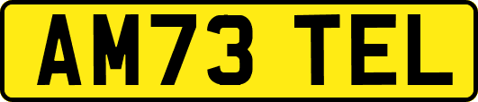 AM73TEL