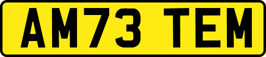 AM73TEM
