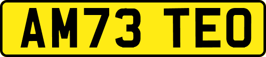 AM73TEO