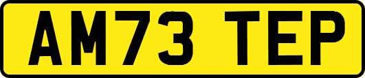 AM73TEP