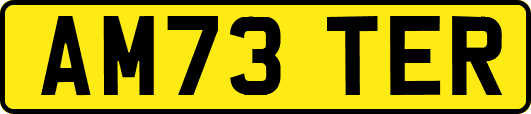 AM73TER