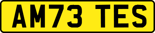 AM73TES