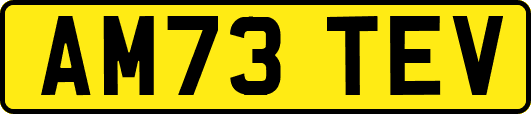 AM73TEV