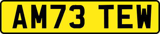 AM73TEW