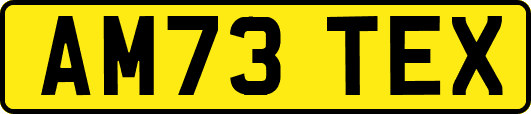AM73TEX
