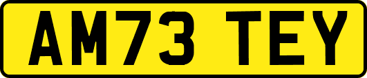 AM73TEY
