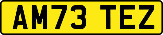 AM73TEZ