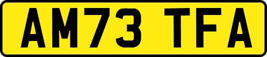 AM73TFA