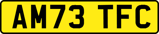 AM73TFC