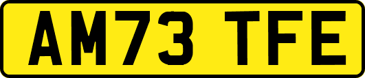 AM73TFE